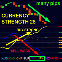 Advanced Currency Strength28 MT5