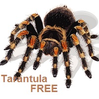 Tarantula