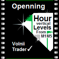 Opening Hours Vertical Levels