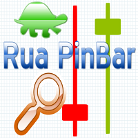 Rua PinBar
