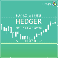 Hedger MT5