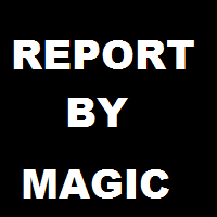 Report By Magic Number