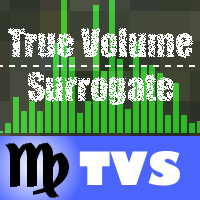 TrueVolumeSurrogate