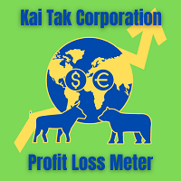 KaiTakCorp Profit Loss Meter