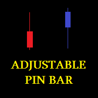 Adjustable Pin Bar