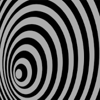 Spin Indicator