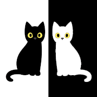 Torakiki