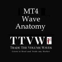 Wave Anatomy