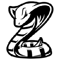 Snake game upgrade