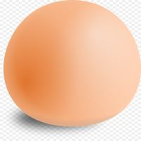 Egg
