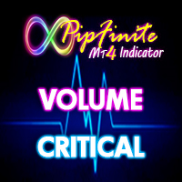PipFinite Volume Critical