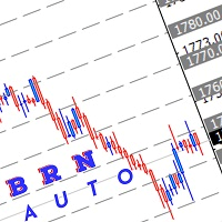 BRN Auto