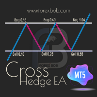 Cross Hedge EA MT5