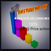 BWS AI Plug and Play
